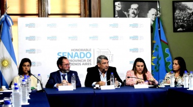 Alcohol Cero: D’Onofrio encabezó último plenario del proyecto antes de su tratamiento en el  Senado