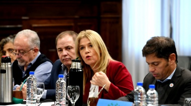 Magario y una dura advertencia si se aprueba en el Senado la Ley Ómnibus de Milei