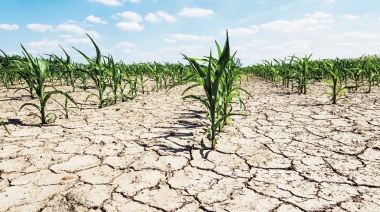 Milei recién aprobó la emergencia agraria en Provincia pedida hace un año: ya no hay sequía