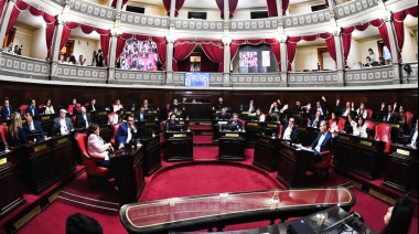 Senadores PRO celebraron la media sanción a la suspensión de las PASO: “Fortalece la institucionalidad”