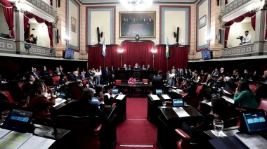 La oposición avanza en el Senado con un proyecto para reformar la Constitución bonaerense