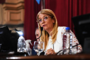 La oposición se aglutinó en el Senado y piden una Sesión Especial para suspender las PASO en la Provincia