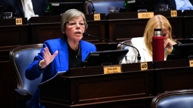 Malaisi insiste a Diputados que traten el proyecto sobre ludopatía infantil