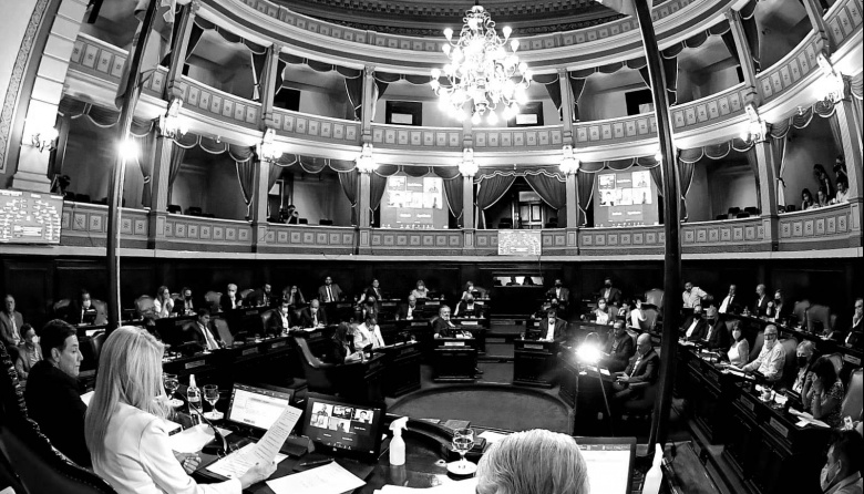 Fin al extenso silencio: el Senado bonaerense volverá a sesionar después de cinco meses