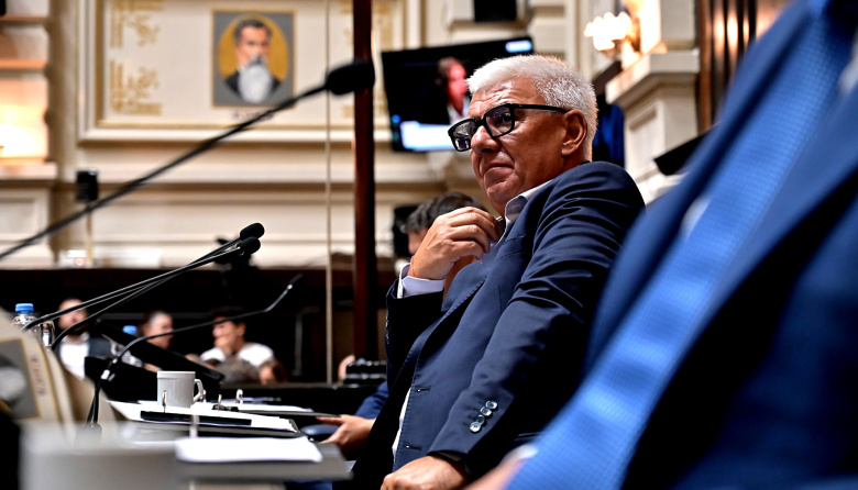 Listas confirmadas: Dichiara oficializó el nuevo mapa de Comisiones en Diputados bonaerense