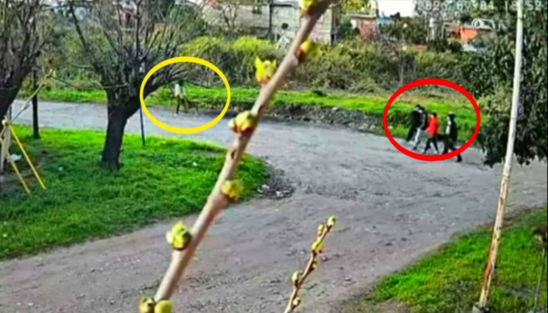 Banda de "pirañas" atacó a una mujer: los cobardes la patearon en el suelo