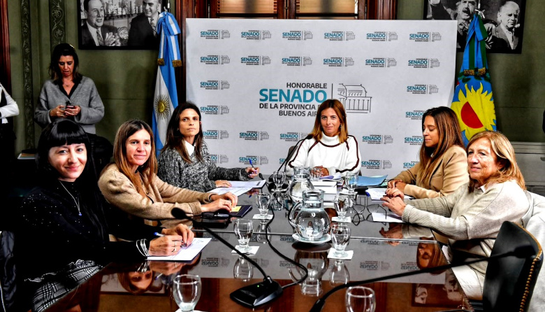 El Senado bonaerense avanza con un proyecto para frenar los escapes libres y los ruidos de motos