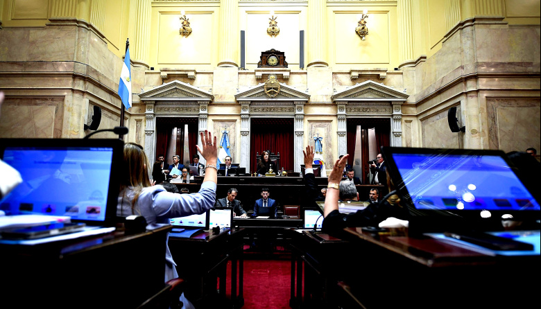Sesión en el Senado nacional: se logró la media sanción a la reforma de la Ley de Salud Mental de Milei