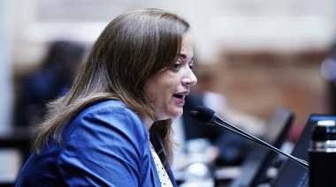 Moreau disparó contra los Senadores de Juntos por la sesión suspendida: “No tienen empatía”