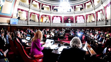 Senadores bonaerenses repudiaron a Milei y Pettovello por retener alimentos de comedores