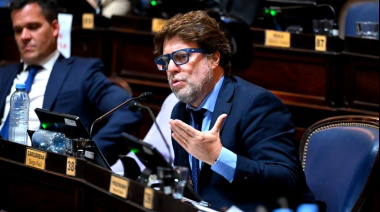 Tras la aprobación de la suspensión de las PASO en el Senado, Garciarena pidió “ocuparse de los temas importantes”
