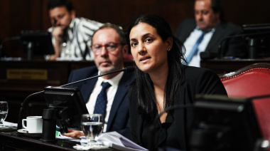 Una senadora massista se plantó contra las reelecciones indefinidas a pesar de su bloque