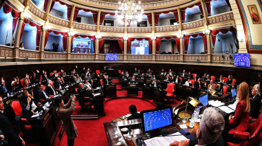 Sin la prensa y con desempate de Magario, el Senado aprobó las reelecciones indefinidas