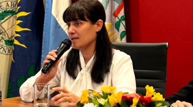 Diputada massista pidió una Reforma Constitucional bonaerense para adaptarse a la IA y los nuevos tiempos