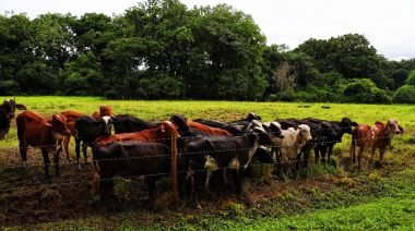 Magdalena será sede de una jornada técnica clave para la eficiencia ganadera