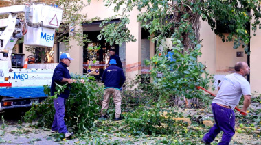 El municipio de Magdalena inició el plan de rearbolado urbano en la ciudad