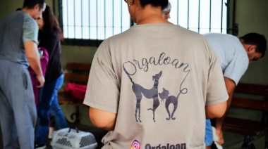 Magdalena: récord de castraciones masivas con más de 120 mascotas intervenidas en un solo día