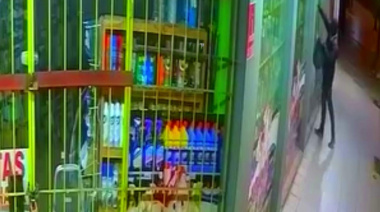 Destrozó la vidriera y se llevó toda la mercadería de un comercio marplatense