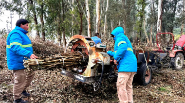 Hourcade avanza con la recuperación del Monte de Empalme en Magdalena