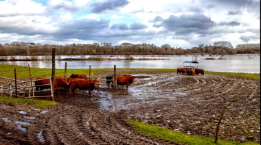 Alerta en el campo bonaerense por el "Súper Niño": advierten que los municipios "hicieron poco y nada"