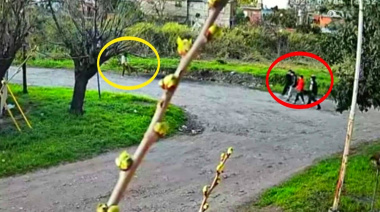 Banda de "pirañas" atacó a una mujer: los cobardes la patearon en el suelo