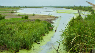 Polémica por la venta de tierras públicas en Hudson: denuncias y rechazo al Municipio de Berazategui