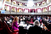 Senadores bonaerenses repudiaron a Milei y Pettovello por retener alimentos de comedores
