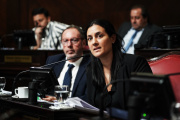 Una senadora massista se plantó contra las reelecciones indefinidas a pesar de su bloque
