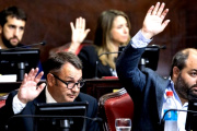 Radicales armaron un nuevo bloque en el Senado bonaerense: nació “UCR - Somos Buenos Aires”