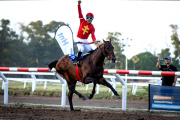 La fiesta eterna en el Hipódromo de La Plata: quien ganó el Gran Premio Dardo Rocha