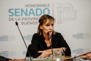 El massismo presiona por la parálisis del Senado bonaerense y le echa fuego a la interna peronista