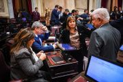 Derrota para Milei: ante el rechazo general, se retiró el capítulo de venta de tierras a extranjeros